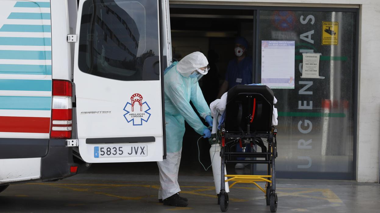 Un profesional sanitario, en el hospital Reina Sofía de Córdoba