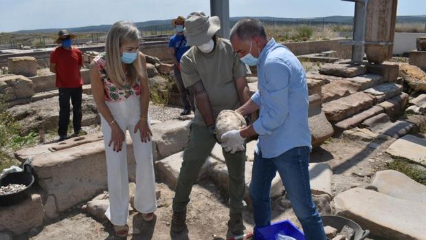 Hallan una cabeza de mármol del siglo IV en el yacimiento romano de Cástulo