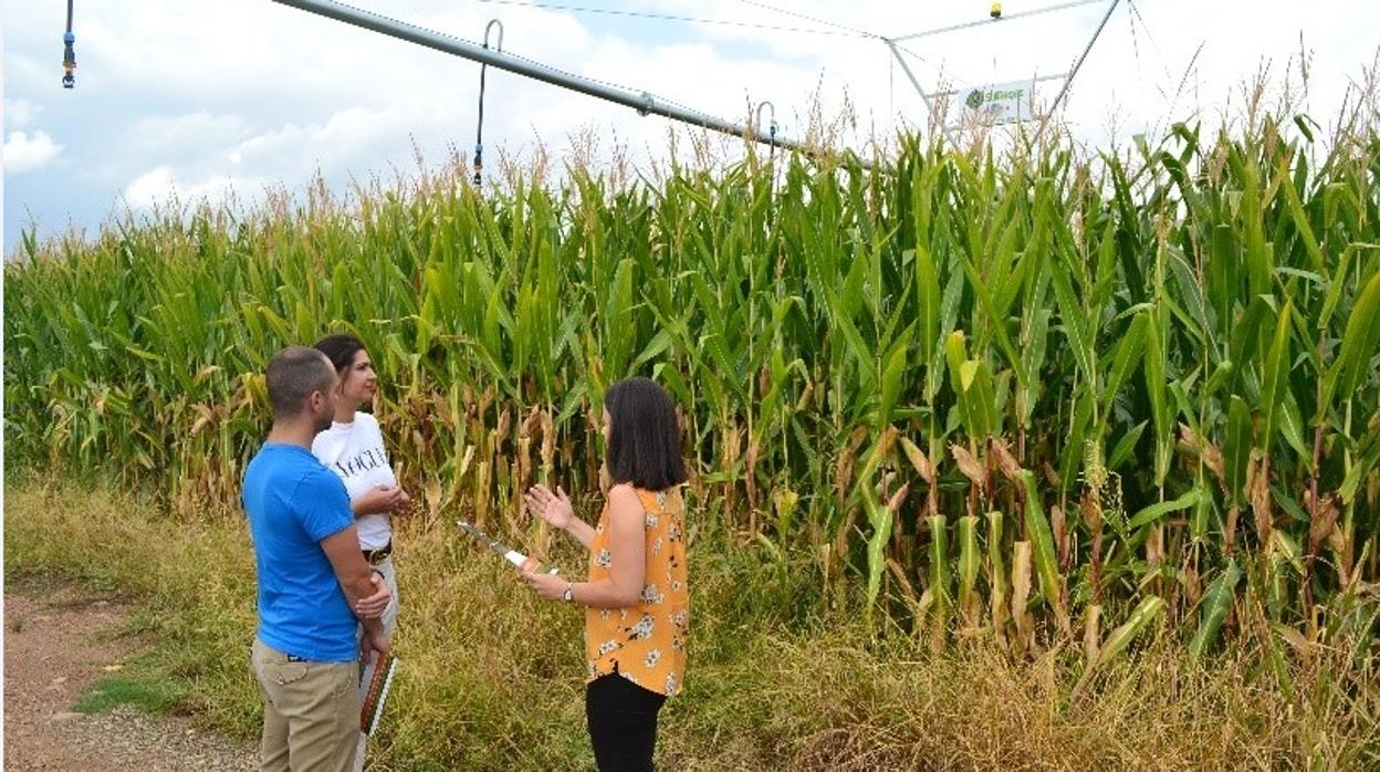 Participantes del estudio de investigación a pie de campo