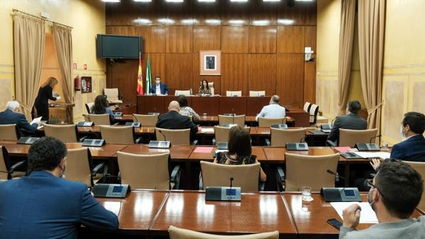 El PSOE y Adelante abandonan la comisión de recuperación en el Parlamento andaluz al presidirla Vox