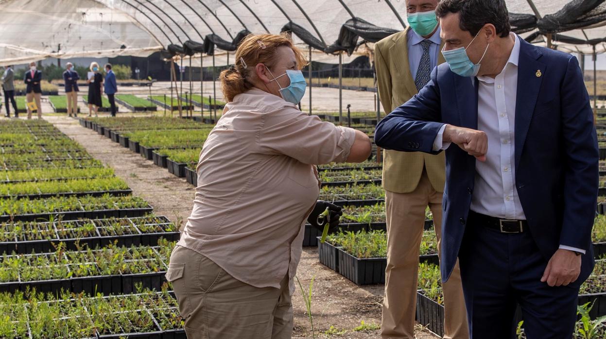 El presidente Juanma Moreno saluda a una operaria del vivero sevillano donde se cultivan los plantones que repoblarán las zonas afectadas del incendio Doñana