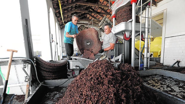 El campo empieza a remontar en Córdoba tras el parón de las ventas por el cierre de mercados