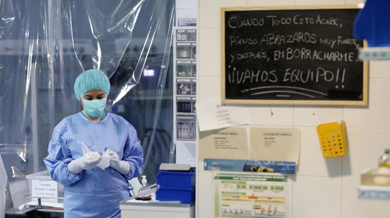 Primer día sin muertos, ni ingresos y un solo contagiado por coronavirus en Andalucía