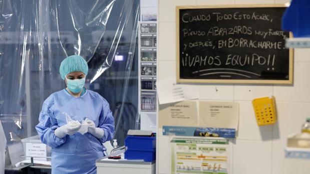 Primer día sin muertos, ni ingresos y un solo contagiado por coronavirus en Andalucía