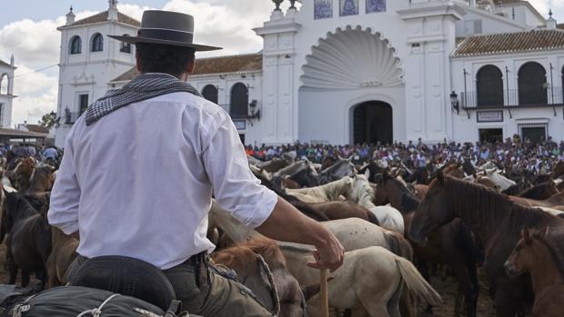 Suspendida oficialmente la Saca de las Yeguas de Almonte