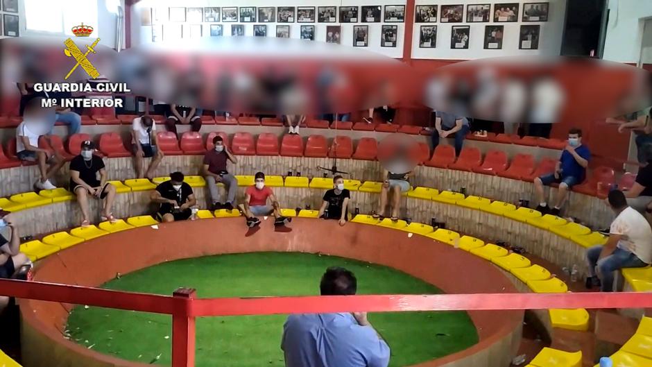 La Guardia Civil desmantela un reñidero con 57 gallos en La Carlota al que acudían más de cien personas