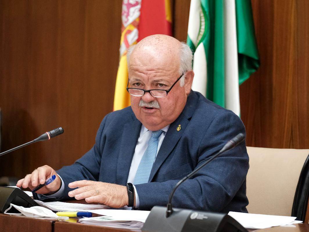 El consejero de Salud y Familias, Jesús Aguirre, durante su intervención en la subcomisión