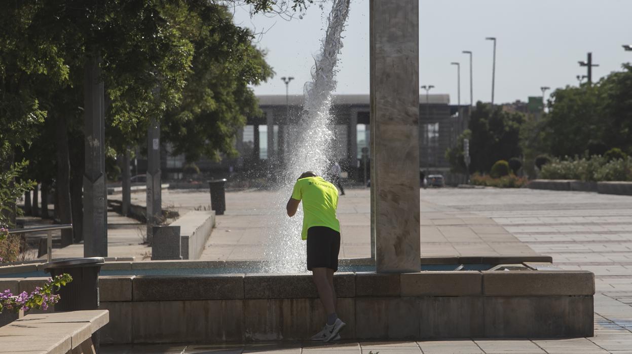 Un hombre se refresca en el Paseo de Córdoba en una jornada de calor