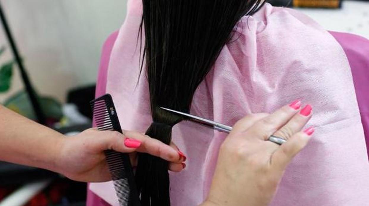 Un peluquero corta el pelo a una clienta