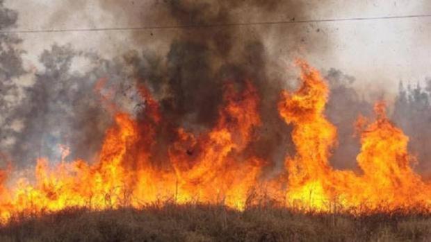 Condenado a cuatro años de cárcel por quemar un campo en Almería