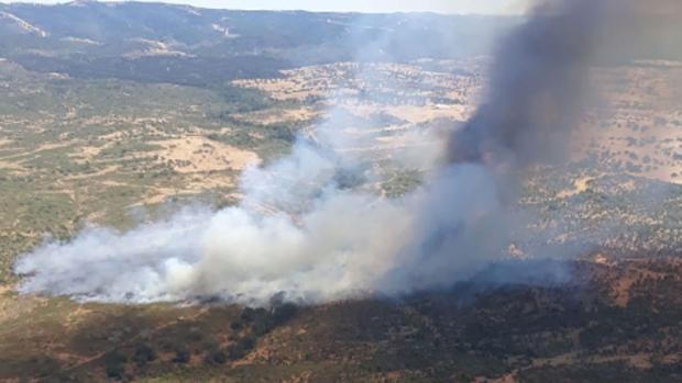 Hasta ocho medios aéreos trabajan en un incendio forestal en Huelva