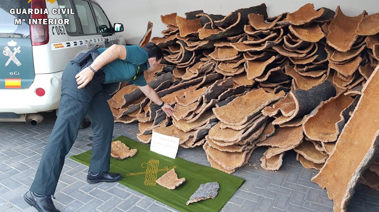 Un agente de la Guardia Civil junto al corcho robado