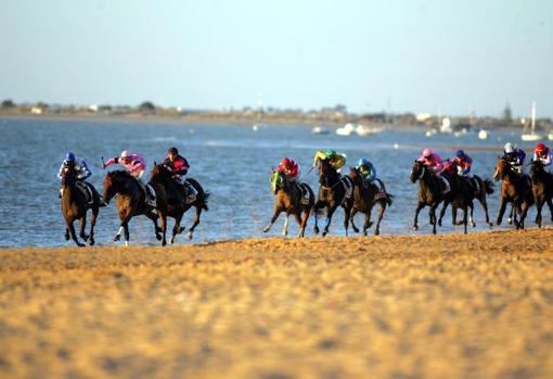 Durante el verano de 2020 no se producirá esta bella estampa de las famosas carreras de caballos de Sanlúcar de Barrameda