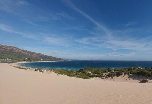 Punta Paloma es conocida por sus bonitas dunas arenas finas y doradas