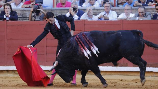 Finito de Córdoba estará en Ávila en la primera corrida de toros después de la pandemia