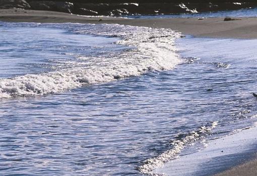 Una playa que dispone de todos los servicios necesarios para obtener la Bandera Azul