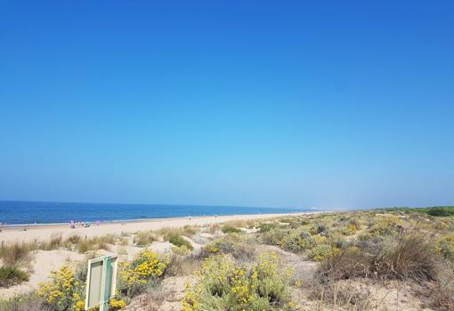 Playa de Los Enebrales, en Huelva