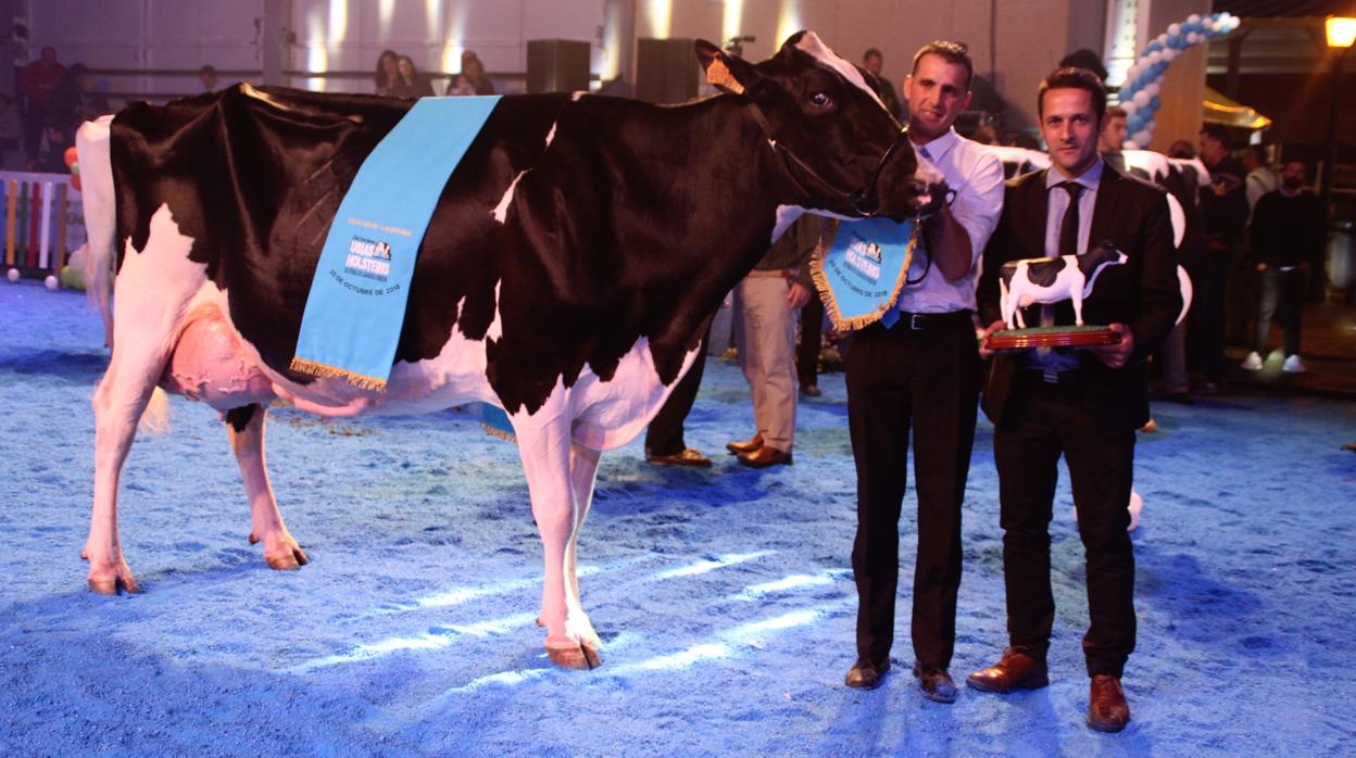 La Feria de Ganado Frisón de Dos Torres en una de sus ediciones anteriores