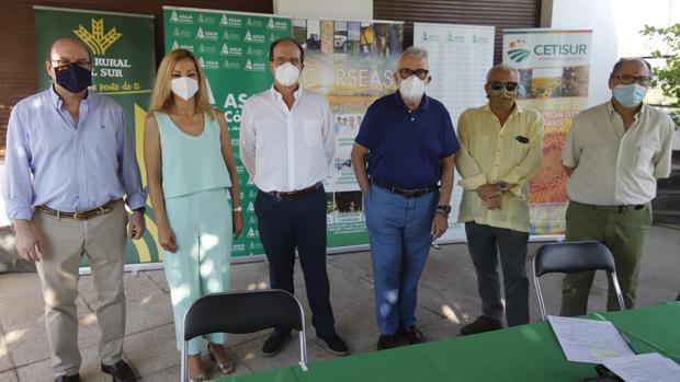 Asaja Córdoba fija en 1.160 millones las pérdidas para el campo andaluz con la propuesta de la nueva PAC