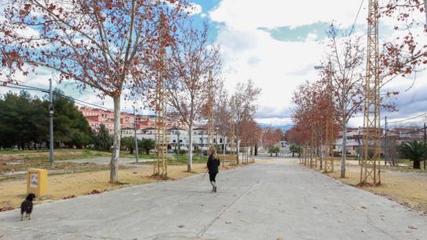 Piden archivar el caso del acusado de violación en Granada tras no comparecer la presunta víctima