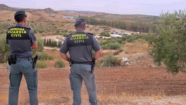 Pillan a un cazador furtivo con con una pistola con silenciador y visor láser en Sierra Nevada