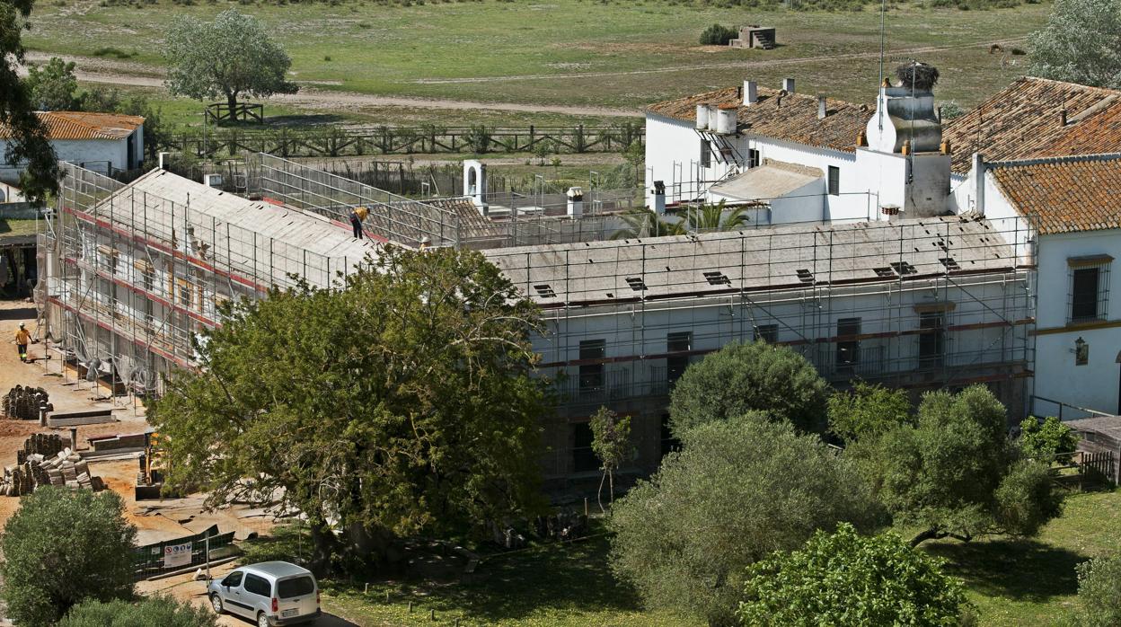 El Palacio de Doñana con el andamiaje durante las obras