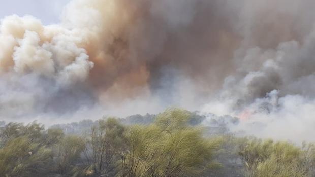 Ocho medios aéreos trabajan en la extinción de un incendio en Cumbres Mayores, ya estabilizado