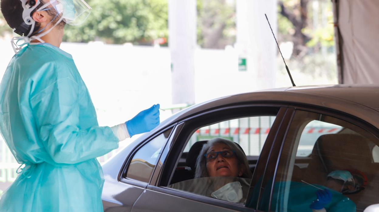 Realización de test en Castilla del Pino