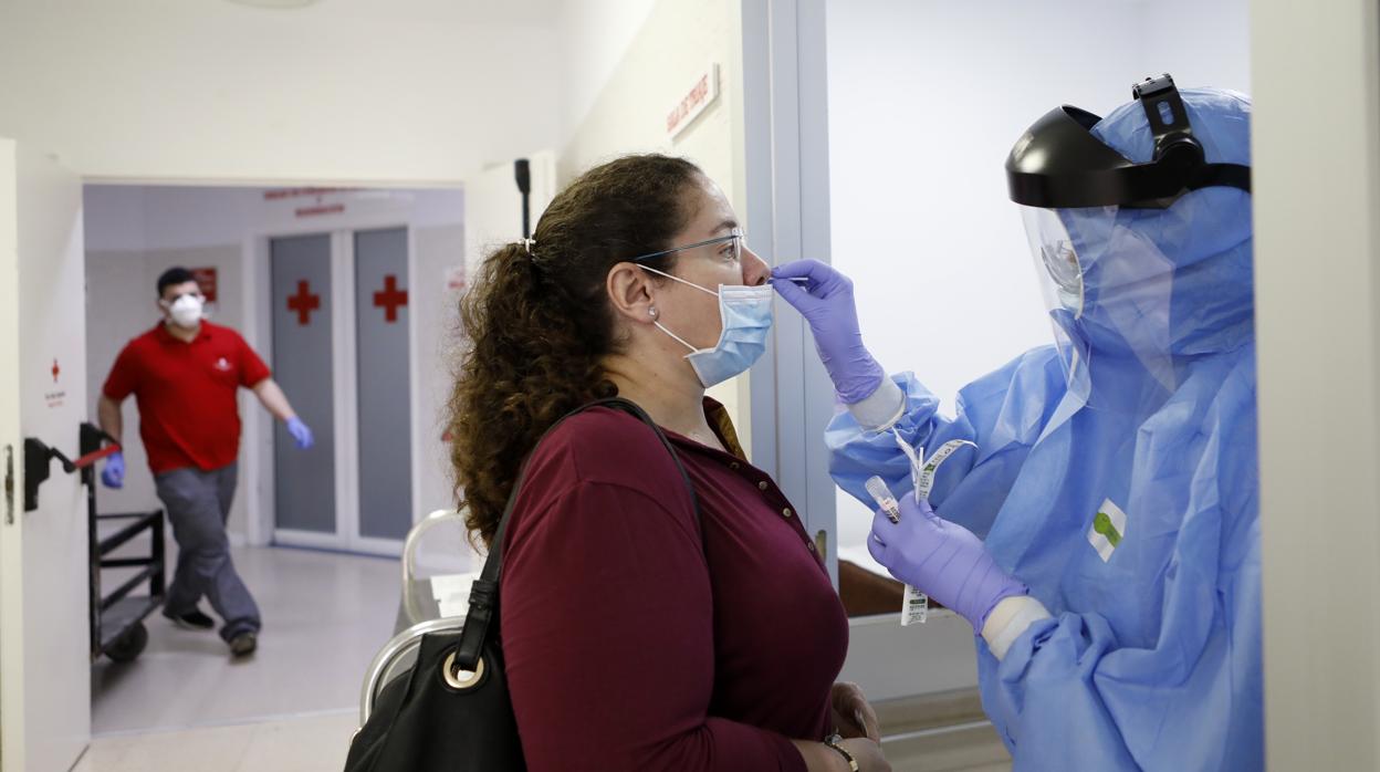 Una profesional sanitaria recoge una muestra durante sus tareas