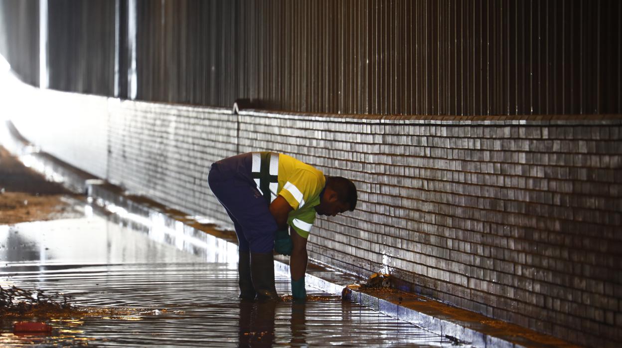 Empleado municipal actúa en el túnel de Carlos III tras las inundaciones del martes