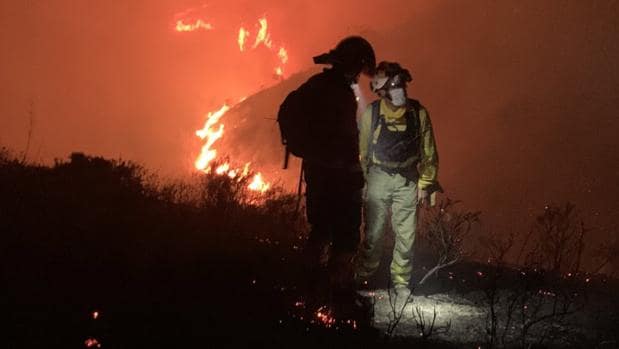 Casi medio centenar de desalojos en dos municipios de Málaga por un incendio forestal