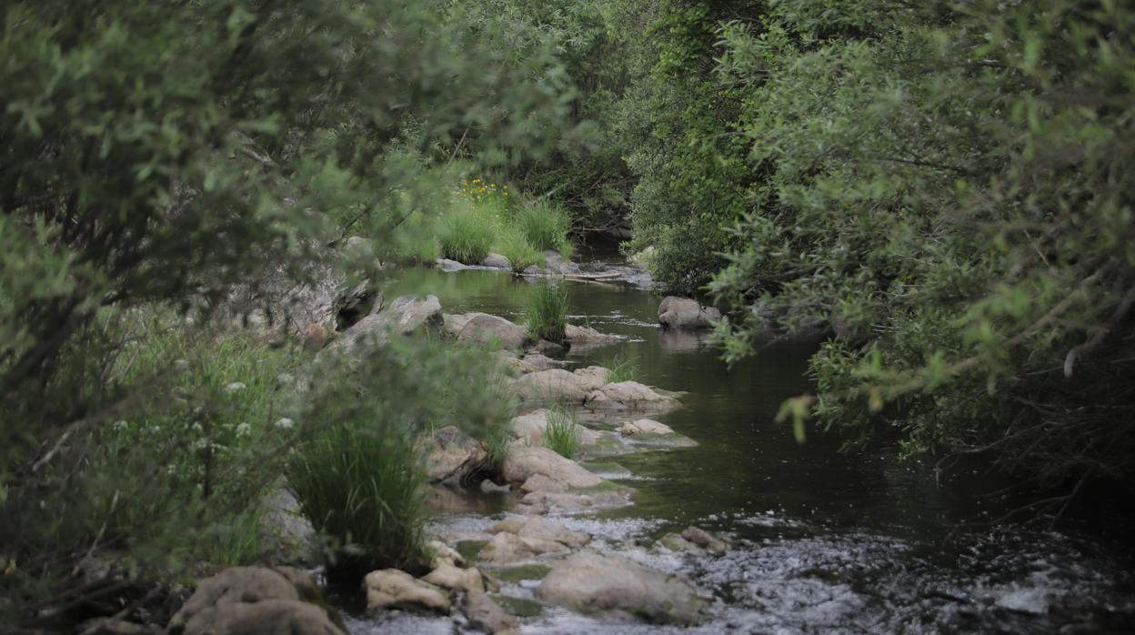 Zona de los Baños de Popea de Córdoba