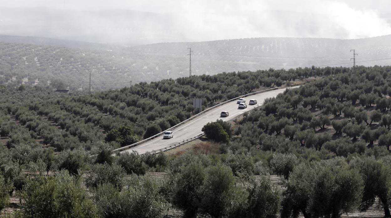 Una carretera de Jaén por la que circulan varios coches