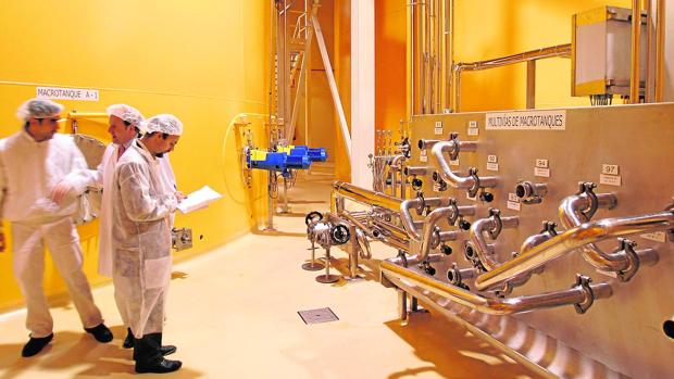 Citrosuco sale de Zumos Palma, que absorbe a 37 trabajadores de Palma del Río