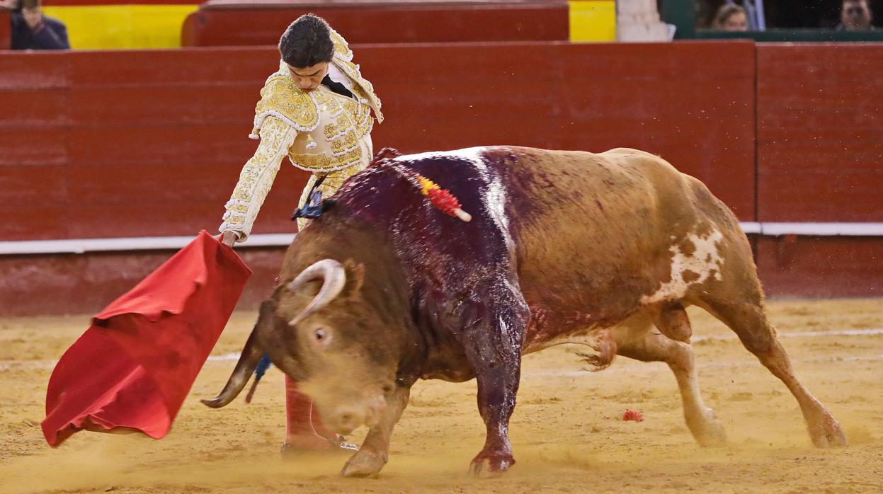 Pablo Aguado, durante una corrida en marzo