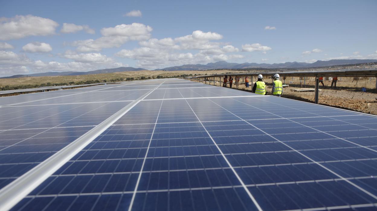 Un parque solar en construcción