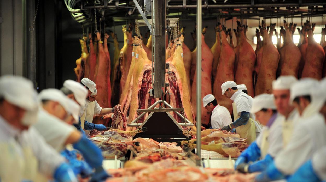 Operarios trabajando en la cooperativa de COVAP en el Valle de los Pedroches