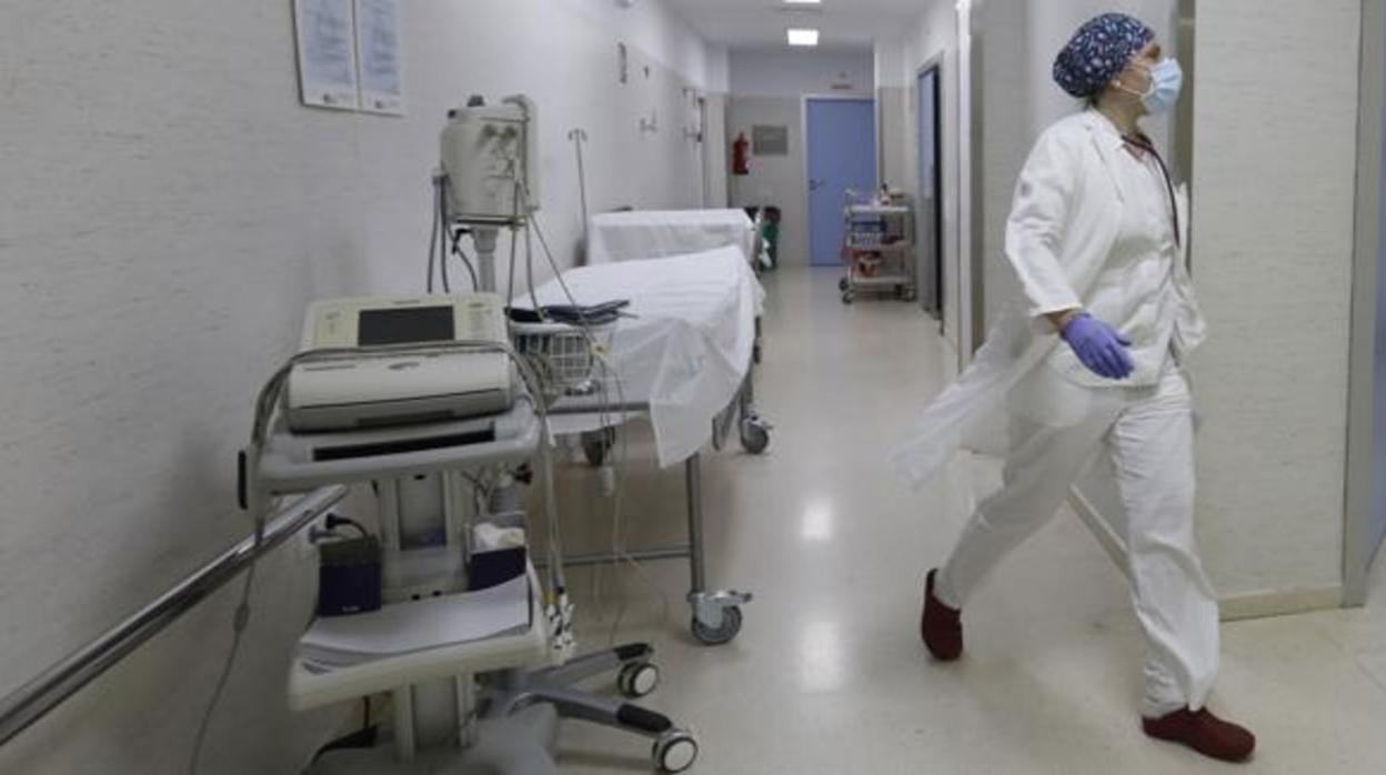 Una santiaria de un centro hospitalario andaluz