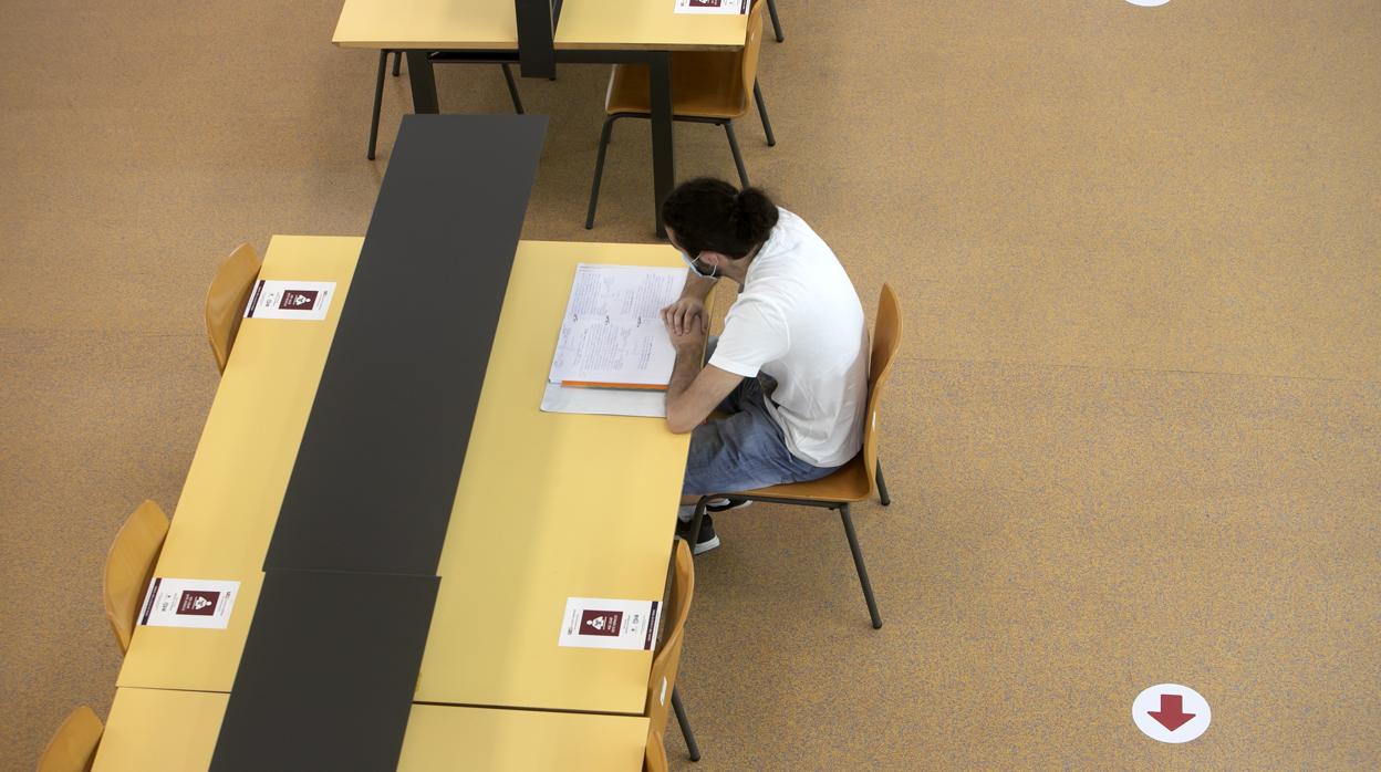 Un estudiante en la biblioteca del Campus de Rabanales