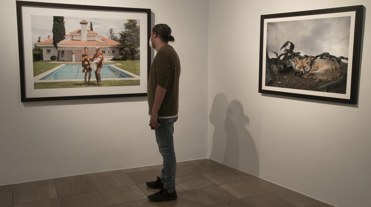 Fotografías en la exposición del premio Pilar Citoler en la sala Vimcorsa de Córdoba