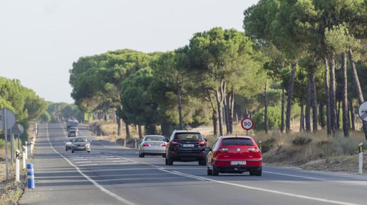 Carretera entre Matalascañas y el Rocío