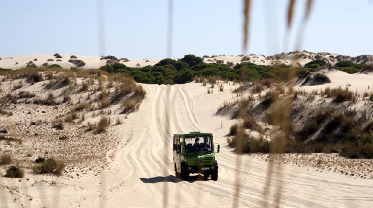 Camión por las dunas de Doñana