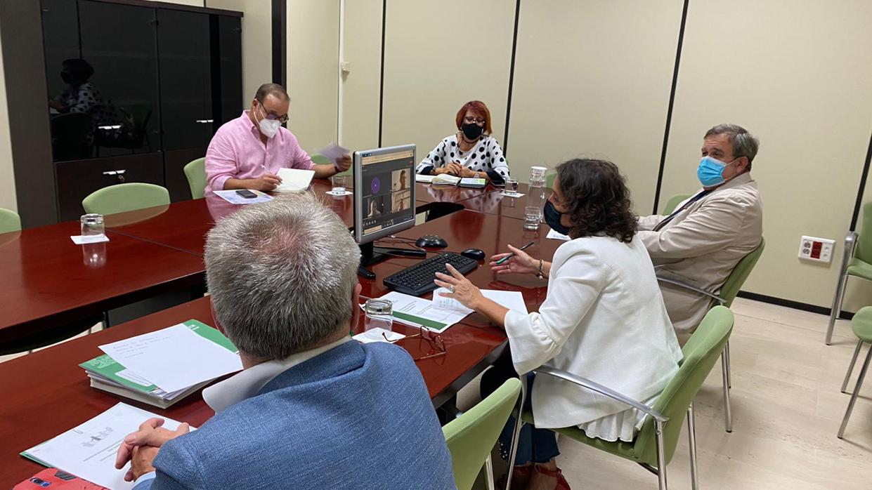 Reunión telemática de la viceconsejera y el director general de Salud Pública con las policías locales