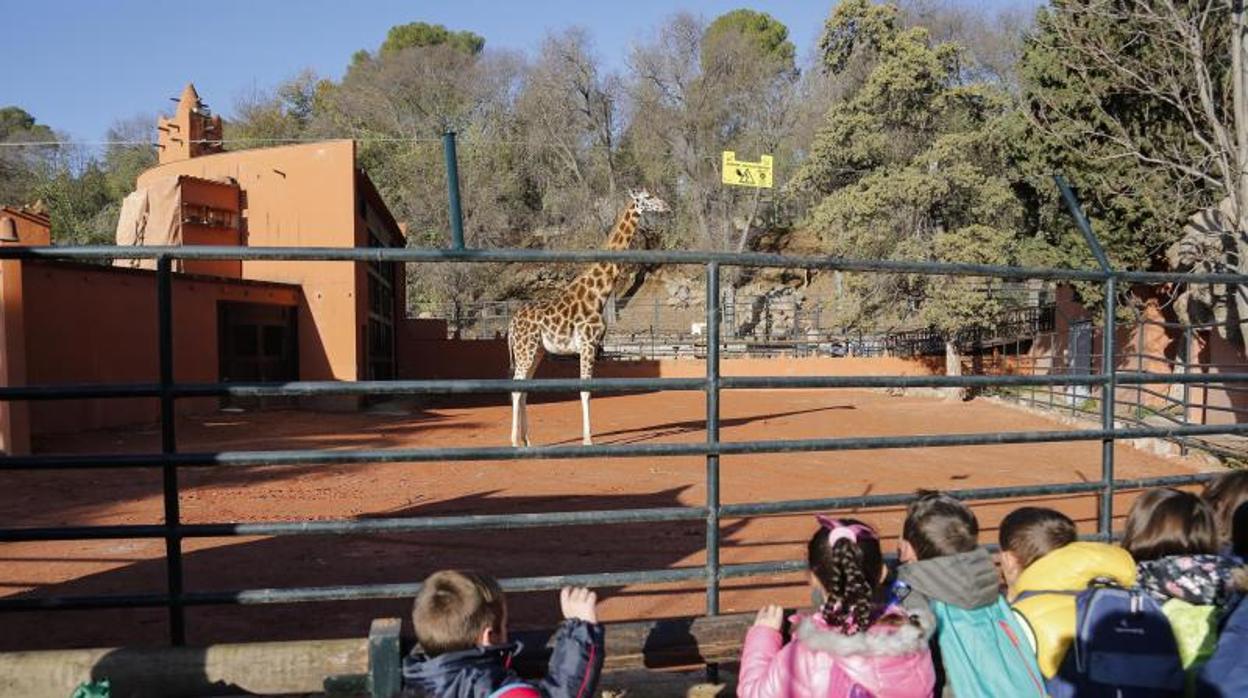 Niños en la presentación de una jirafa en el zoológico de Córdoba en 2018