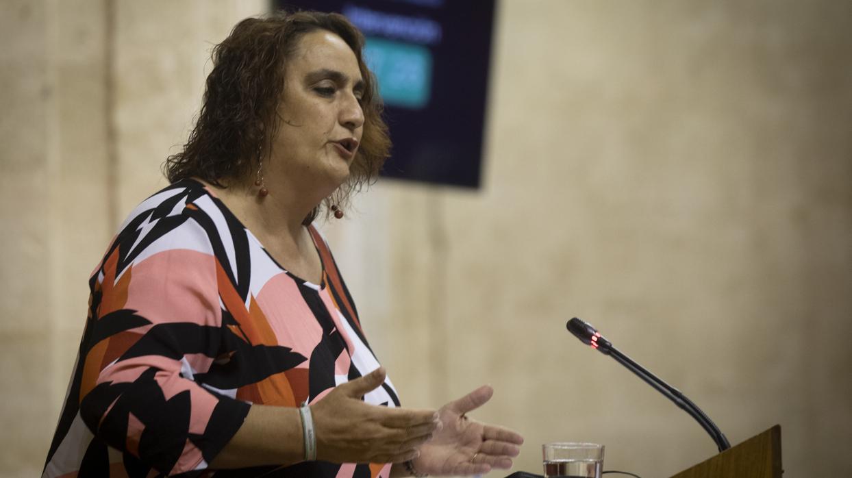 La portavoz adjunta del grupo parlamentario Adelante Andalucía, Ángela Aguilera, durante su intervención