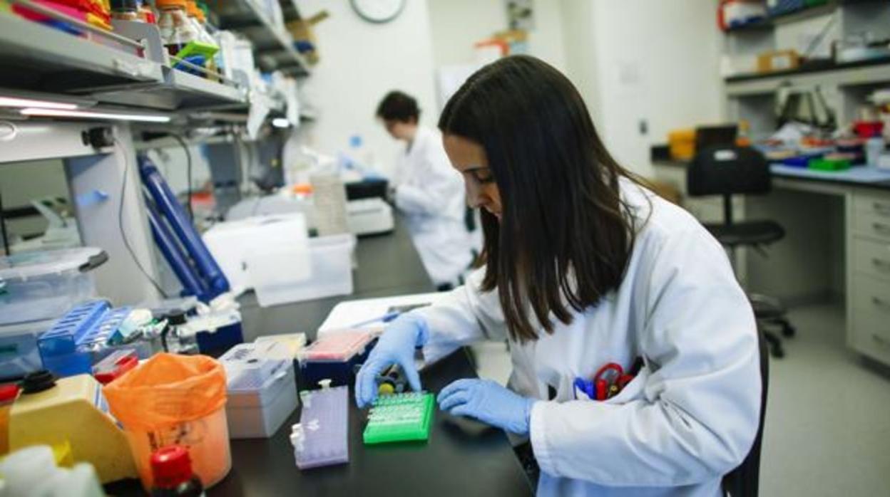 Una investigadora trabaja en su laboratorio