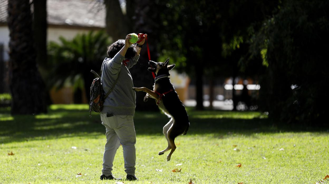 Una mujer juega con su mascota en los jardines de Colón