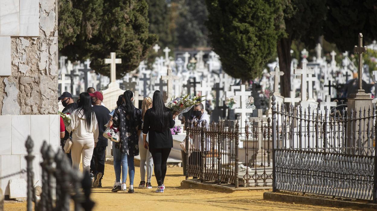 Familiares llevan flores a sus difuntos en el cementerio de Sevilla