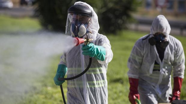 Salud da por cerrado el brote de virus del Nilo en Andalucía