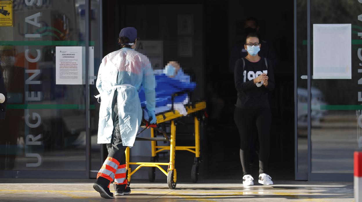 Un sanitario realiza un ingreso en las Urgencias del Hospital Reina Sofía de Córdoba